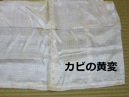 全体に変色したポリエステル製の下着