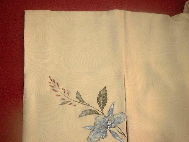 訪問着色揚げ後